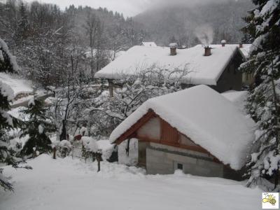 sdc11311.jpg