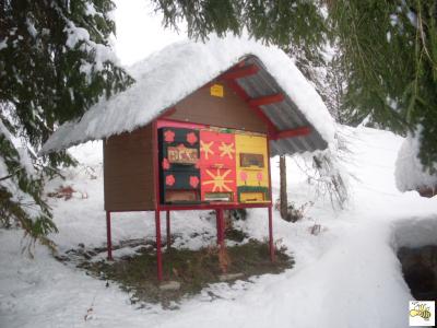 sdc11313.jpg