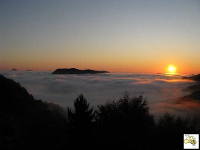 img_4383.jpg